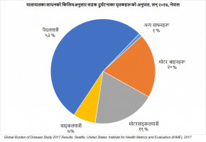 सडक सुरक्षाको विश्वव्यापी अवस्थाको प्रतिवेदन २०१८ र नेपालको सन्दर्भ (Overview of Global Status Report on Road Safety with Reference to Nepal)